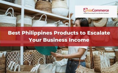 Best Philippines Products to Escalate Your Business Income