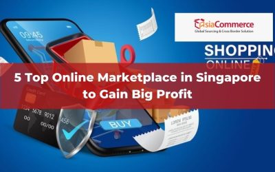 5 Top Online Marketplace in Singapore to Gain Big Profit