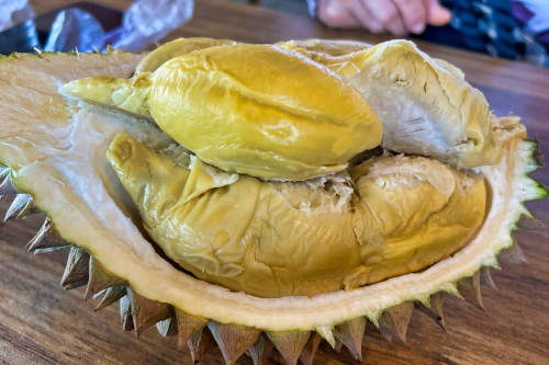 durian in Vietnam