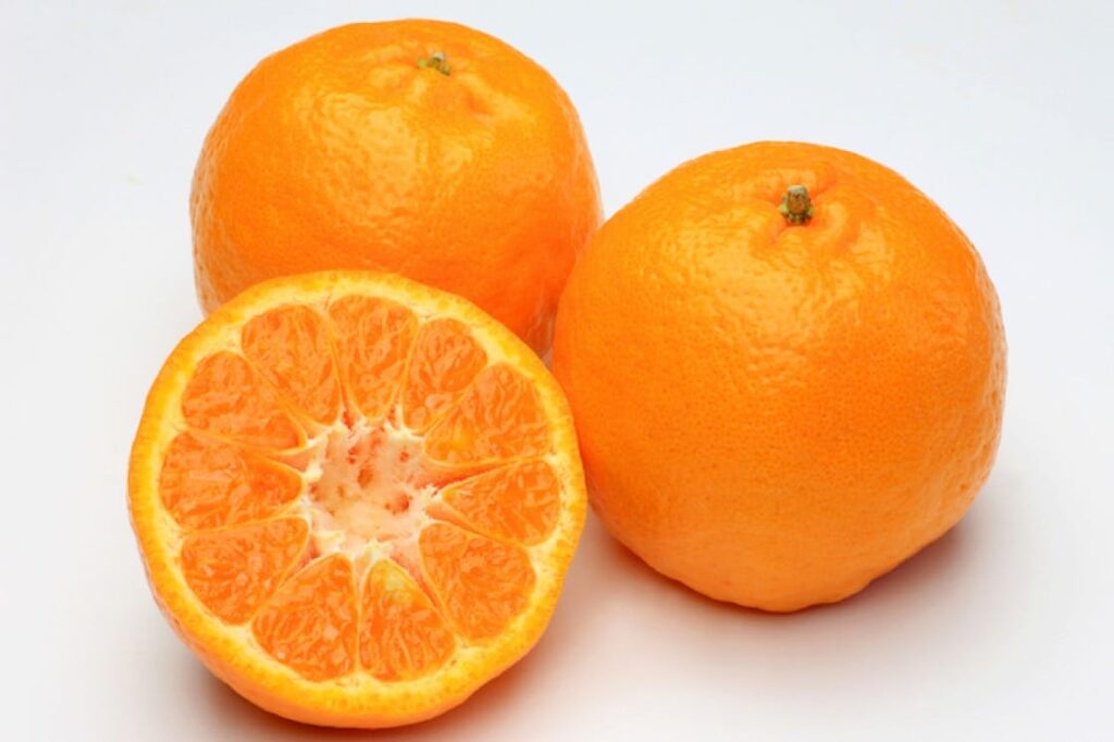 Lukan is a type of Chinese Mandarin orange