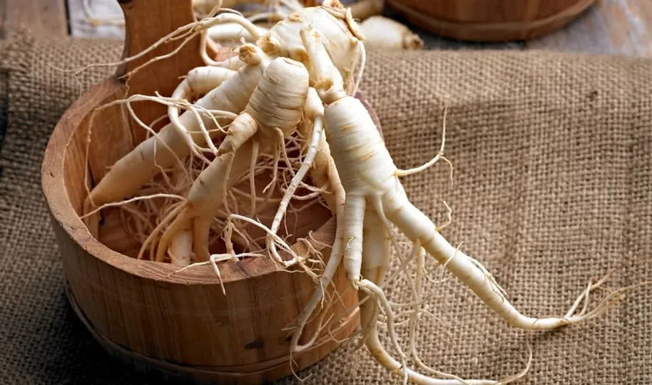 white korean ginseng