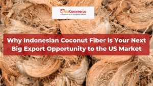 Why Indonesian Coconut Fiber is Your Next Big Export Opportunity to the US Market