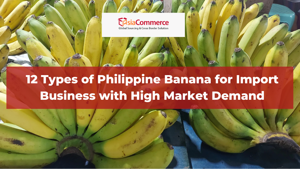 12 Types of Philippine Banana for Import Business with High Market Demand