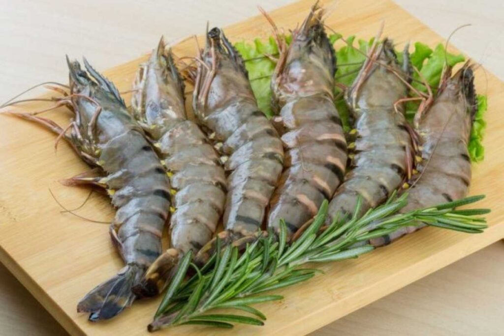 Black Tiger Shrimp