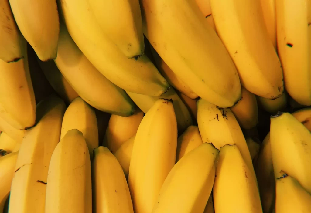 Cavendish Banana