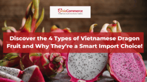 Discover the 4 Types of Vietnamese Dragon Fruit and Why They’re a Smart Import Choice!