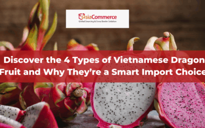 Discover the 4 Types of Vietnamese Dragon Fruit and Why They’re a Smart Import Choice!