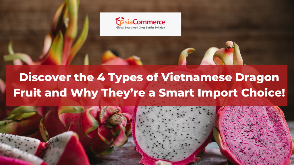 Discover the 4 Types of Vietnamese Dragon Fruit and Why They’re a Smart Import Choice!