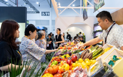 Selling F&B Products on Southeast Asian Marketplaces: A Global Brand’s Distribution Guide