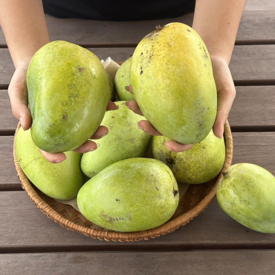 Four Quarter Mango