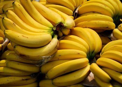 Lakatan Banana - Philippine Banana