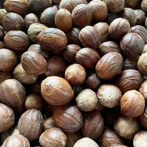 Nutmeg - Indonesian Spices