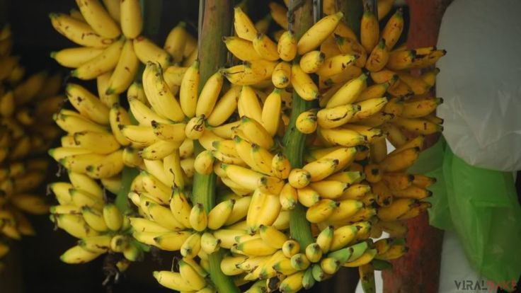 Señorita Banana