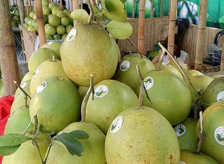 Thanh Tra Pomelo