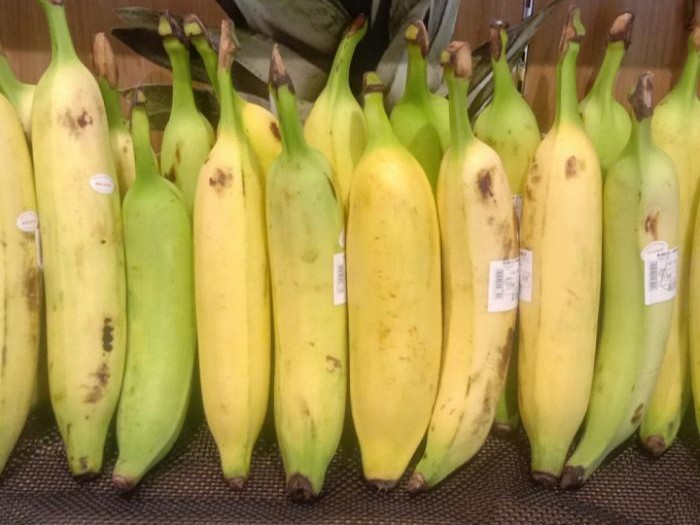 Tindok Banana