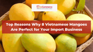 Top Reasons Why 8 Vietnamese Mangoes Are Perfect for Your Import Business