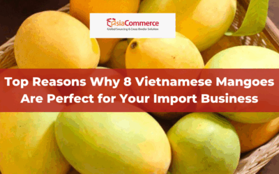 Top Reasons Why 8 Vietnamese Mangoes Are Perfect for Your Import Business
