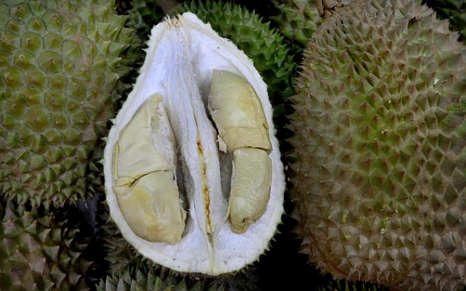 Black Pearl Durian