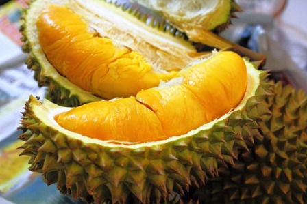Musang King Durian