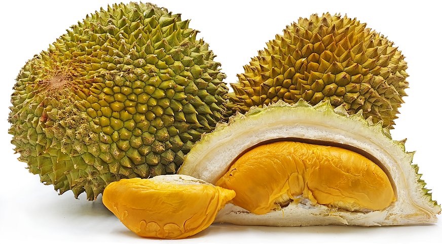 Red Prawn Durian