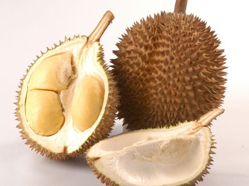 D24 Durian