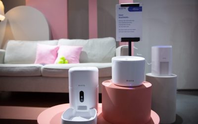 Beyond Traditional Exports: Why the 2026 Southeast Asia Market Entry Focuses on Luxury Pet Tech and Smart Beauty