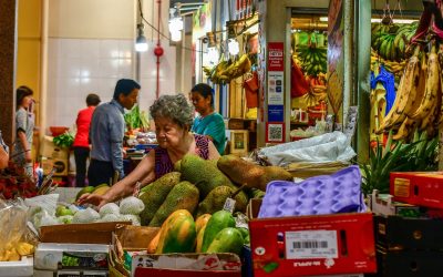 Southeast Asia Market Entry: The Ultimate Playbook for Fragrance Brands