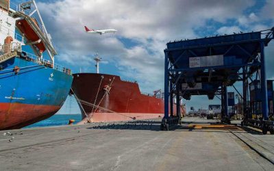 The Billion-Dollar Trap of Exponential Customs Penalties Exposed