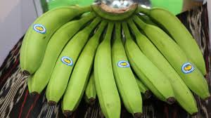 Cold Chain Secrets: Philippine Banana Import Logistics Masterclass