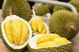 Vietnam Durian Export Guide 2026: How to Source The World’s Most Profitable Luxury Fruit Safely