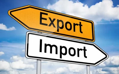 B2B Loophole Exposed: The Importer of Record Advantage