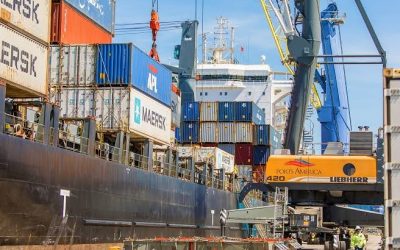 Unlocking Global Trade With A VIP Export Import Sourcing Service