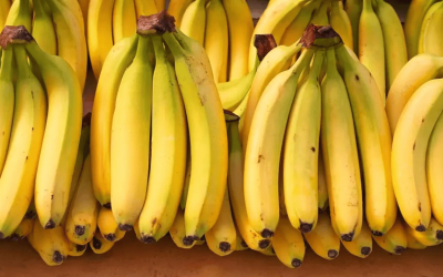 7 Shocking Secrets of Philippine Banana B2B Sourcing